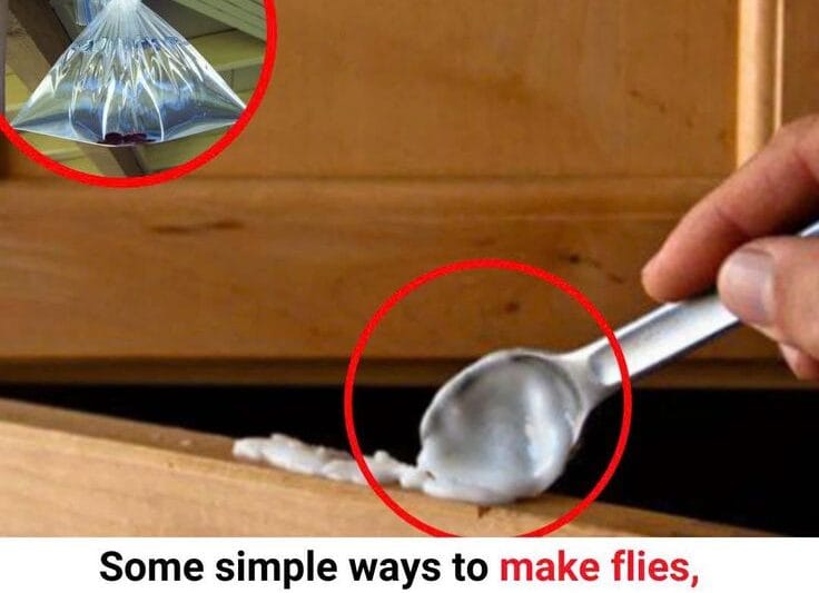 Apply This Simple Tip at Home: No More Flies or Cockroaches After an Hour!