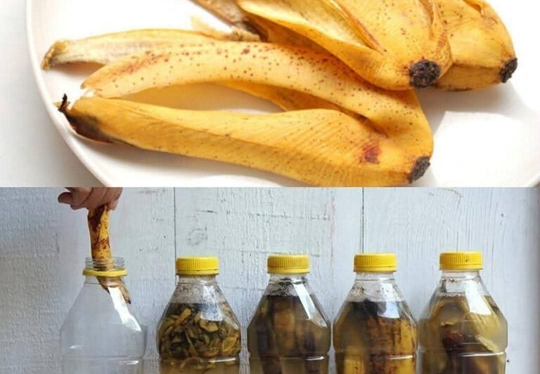 Don’t Throw Away Banana Peels—Put Them in a Bottle and Save Your Money! 100%