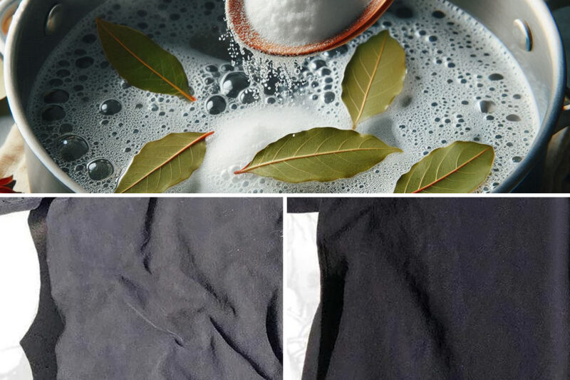 The Natural Method That Recovers Dark Garments That Have Now Faded, Restoring Them to Their Original Dark Color 100%