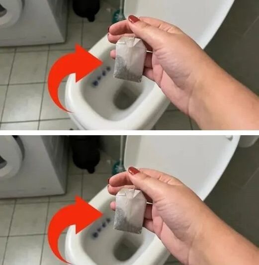 🫖 Why You Should Throw a Tea Bag in the Toilet Before Bed