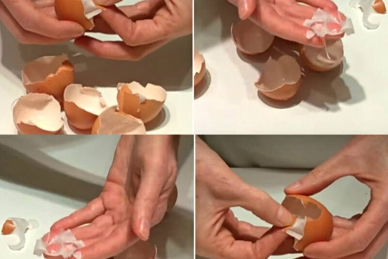 “7 Powerful Benefits of Egg Membrane – Natural Remedy for Joints, Skin, and More!”