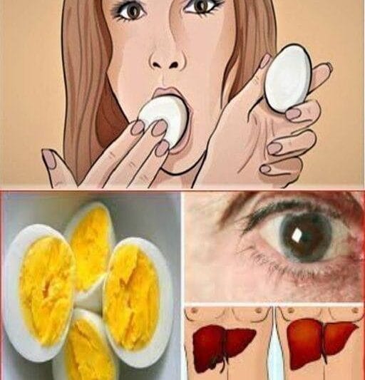 “Start Eating 2 Eggs a Day – The Incredible Health Benefits Explained