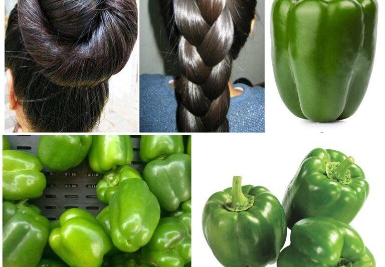 Green Pepper Magic! The Indian Secret 🌿 Gray Hair Will Be a Bad Memory for You